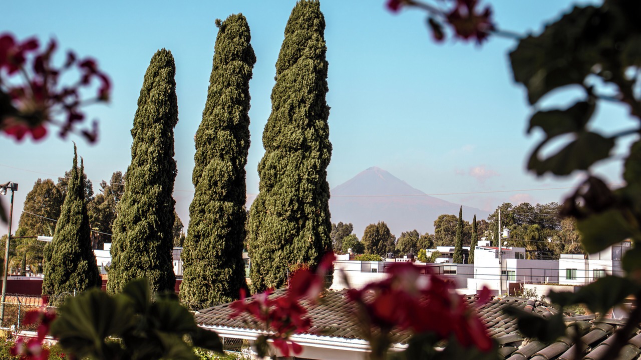 Photo of Bedroom in Cholula