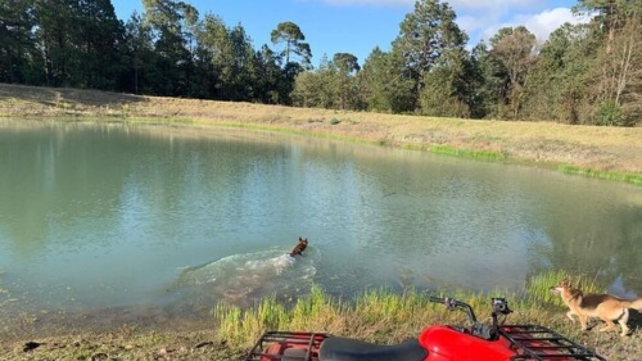 Photo of Outdoor in Zacatlan