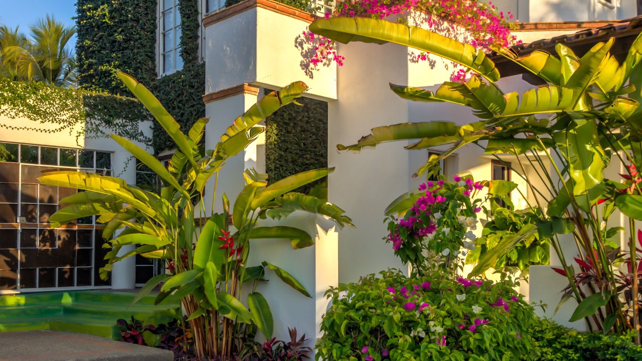 Photo of Outdoor in Marina Vallarta