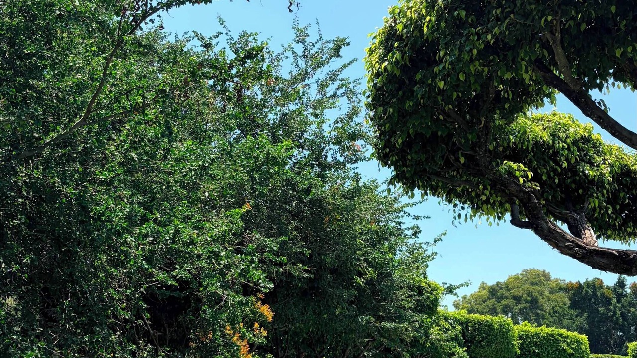 Photo of Others in Jocotepec