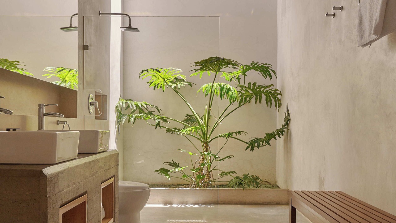 Photo of Bathroom in Centro