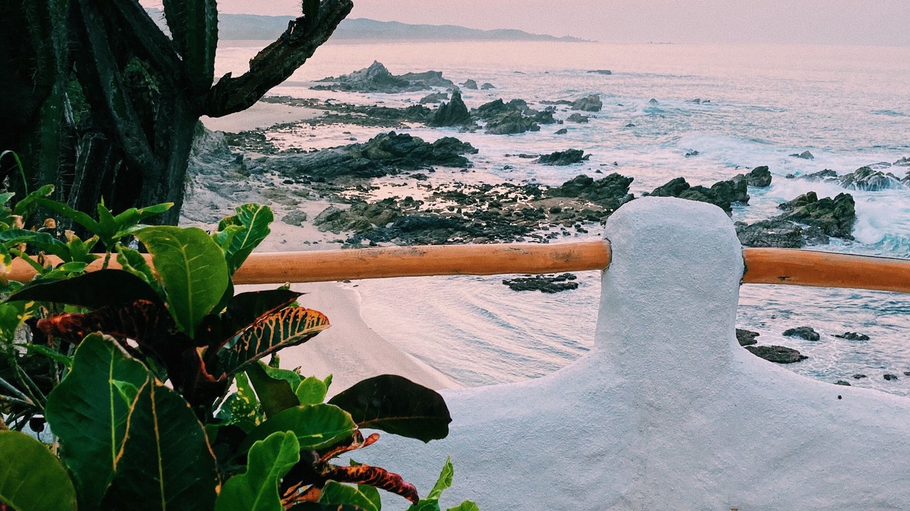 Photo of Outdoor in Cuatunalco