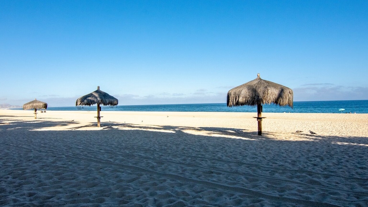Photo of Others in San Jose del Cabo