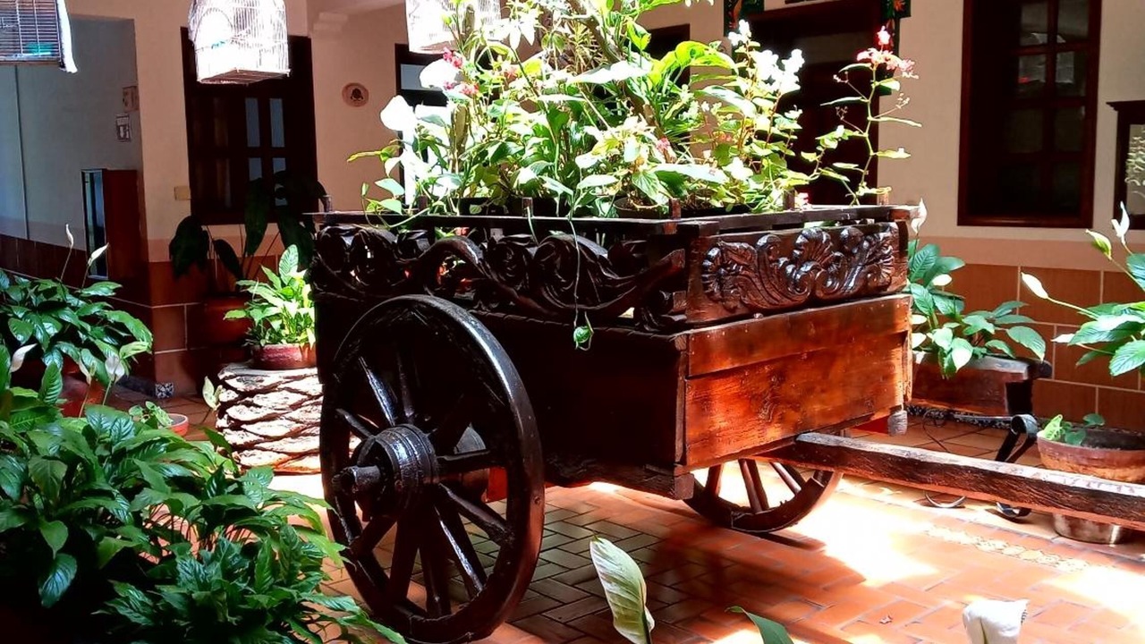 Photo of Outdoor in Centro
