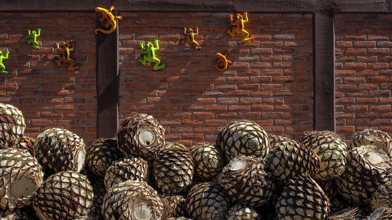 Photo of Outdoor in Pozos