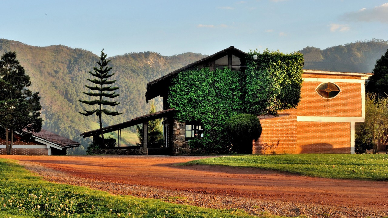 Photo of Outdoor in Zacatlan