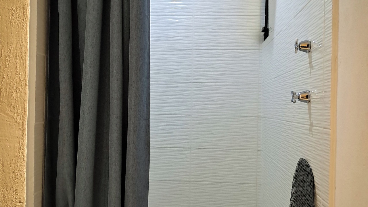 Photo of Bathroom in Coyoacan