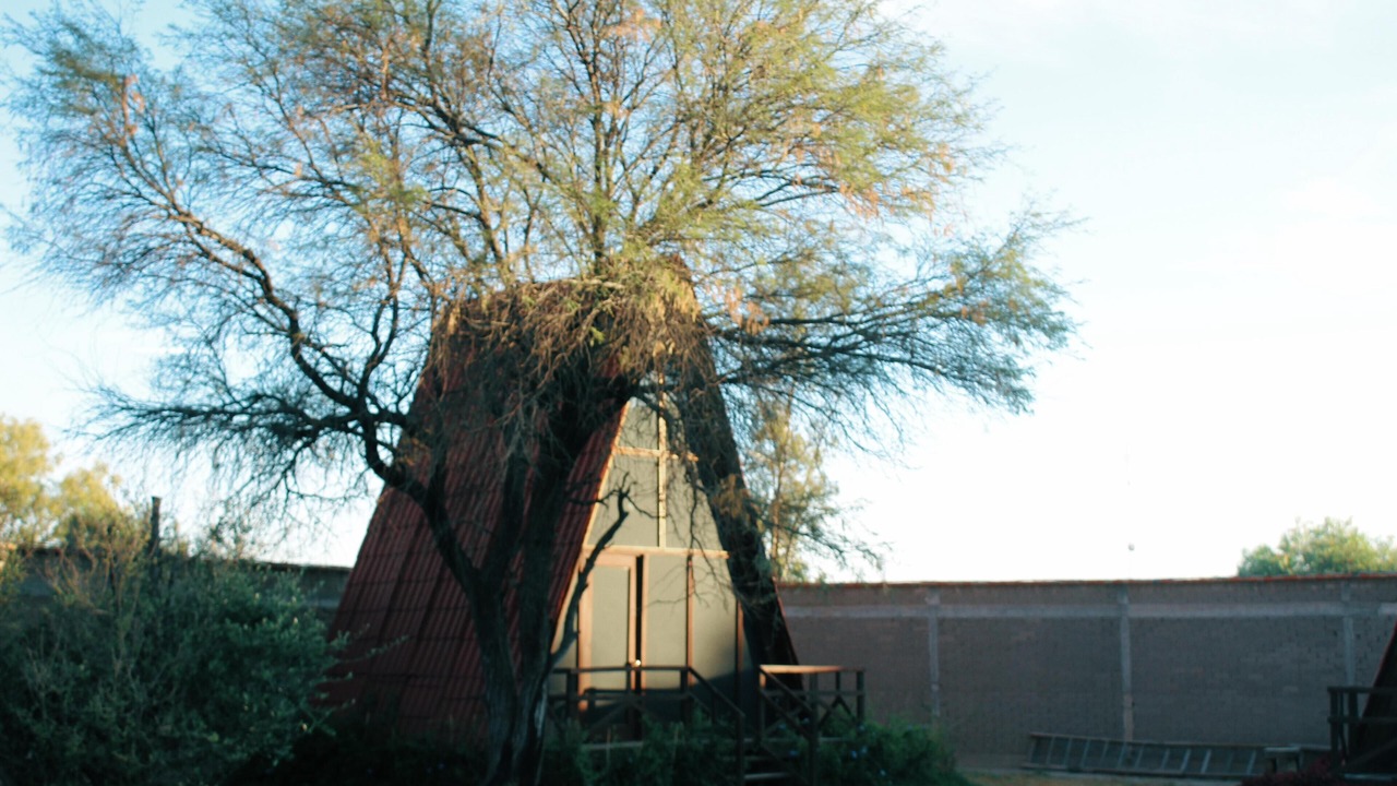 Photo of Outdoor in Pabellon de Arteaga