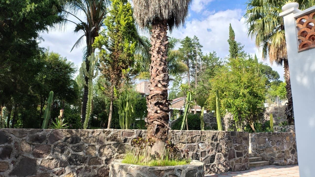 Photo of Outdoor in Tlaxcala