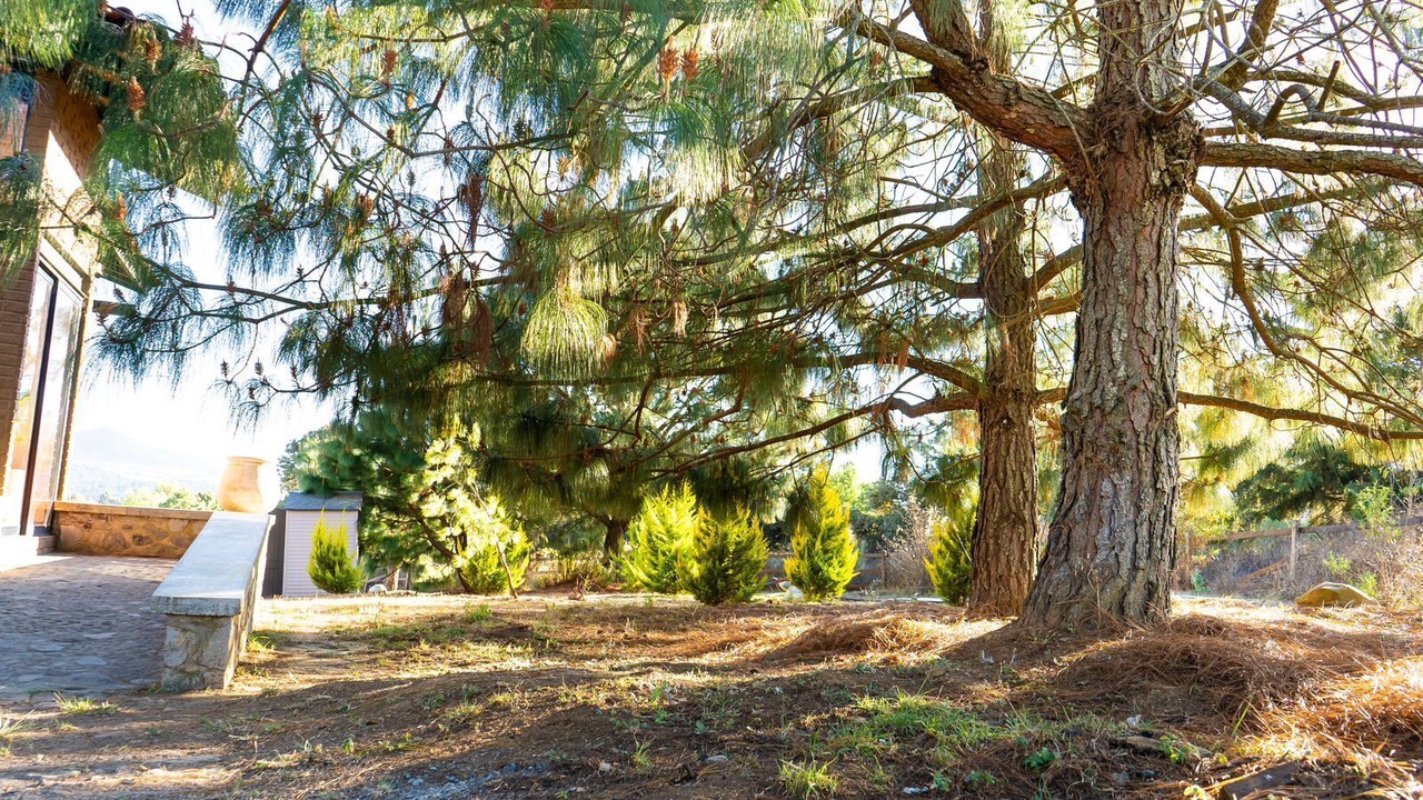 Photo of Outdoor in Tapalpa