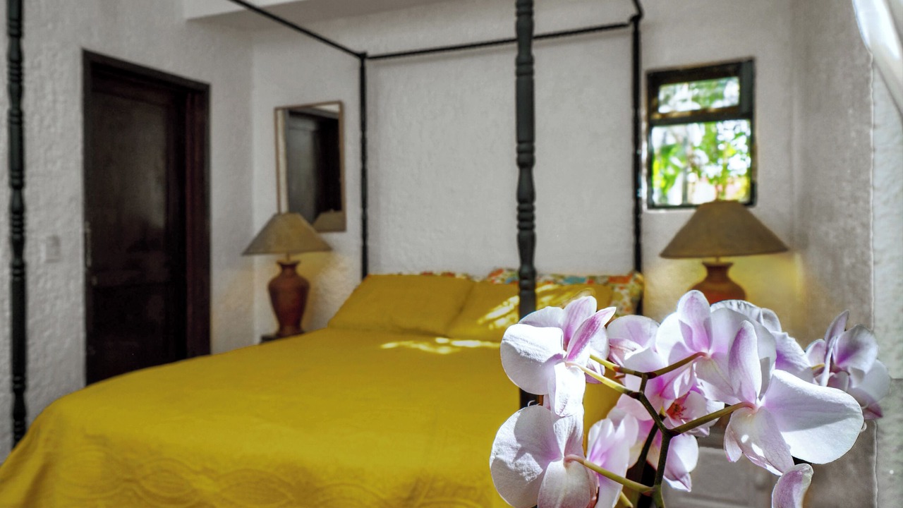 Photo of Bedroom in Ajijic