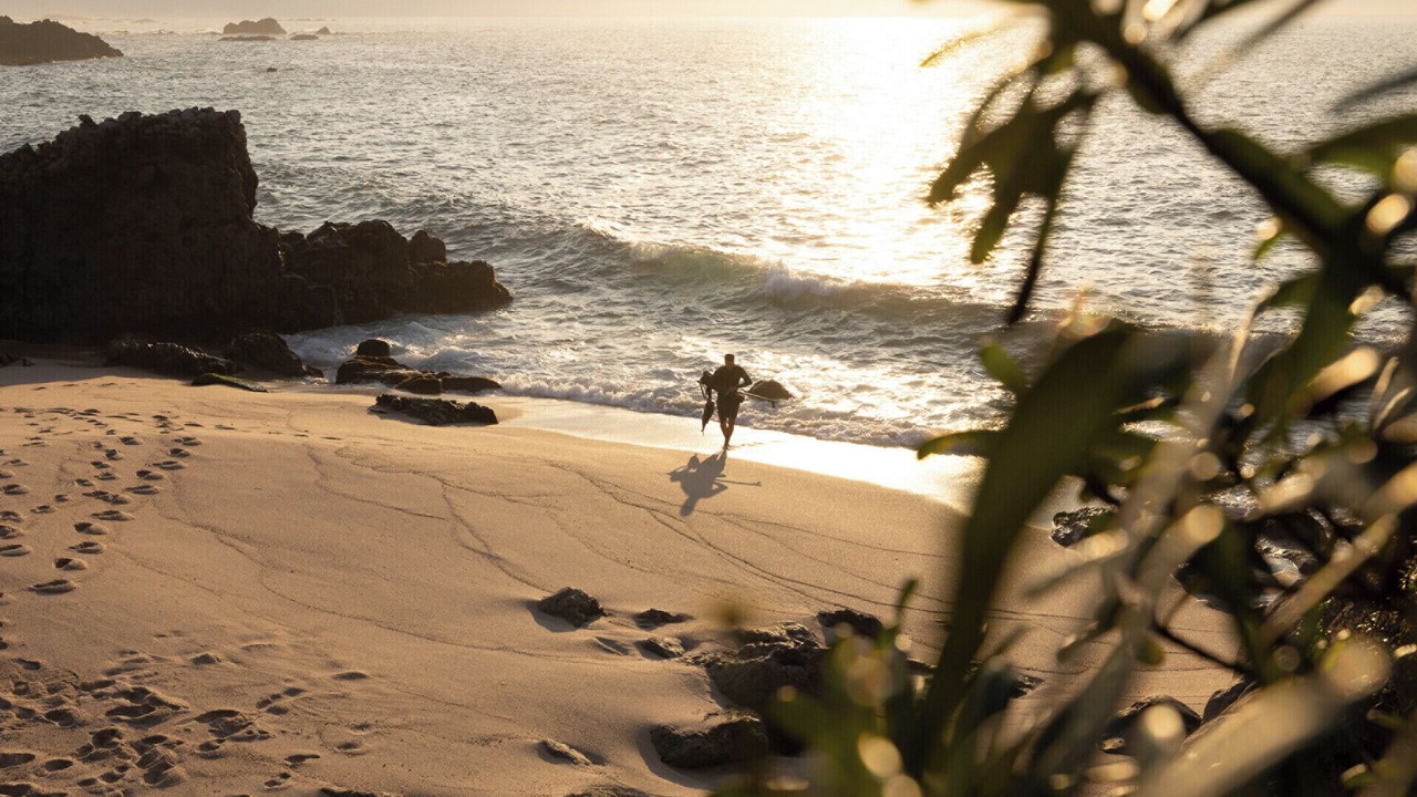 Photo of Others in Punta de Mita
