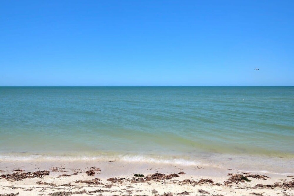 Photo of Others in Chicxulub Puerto