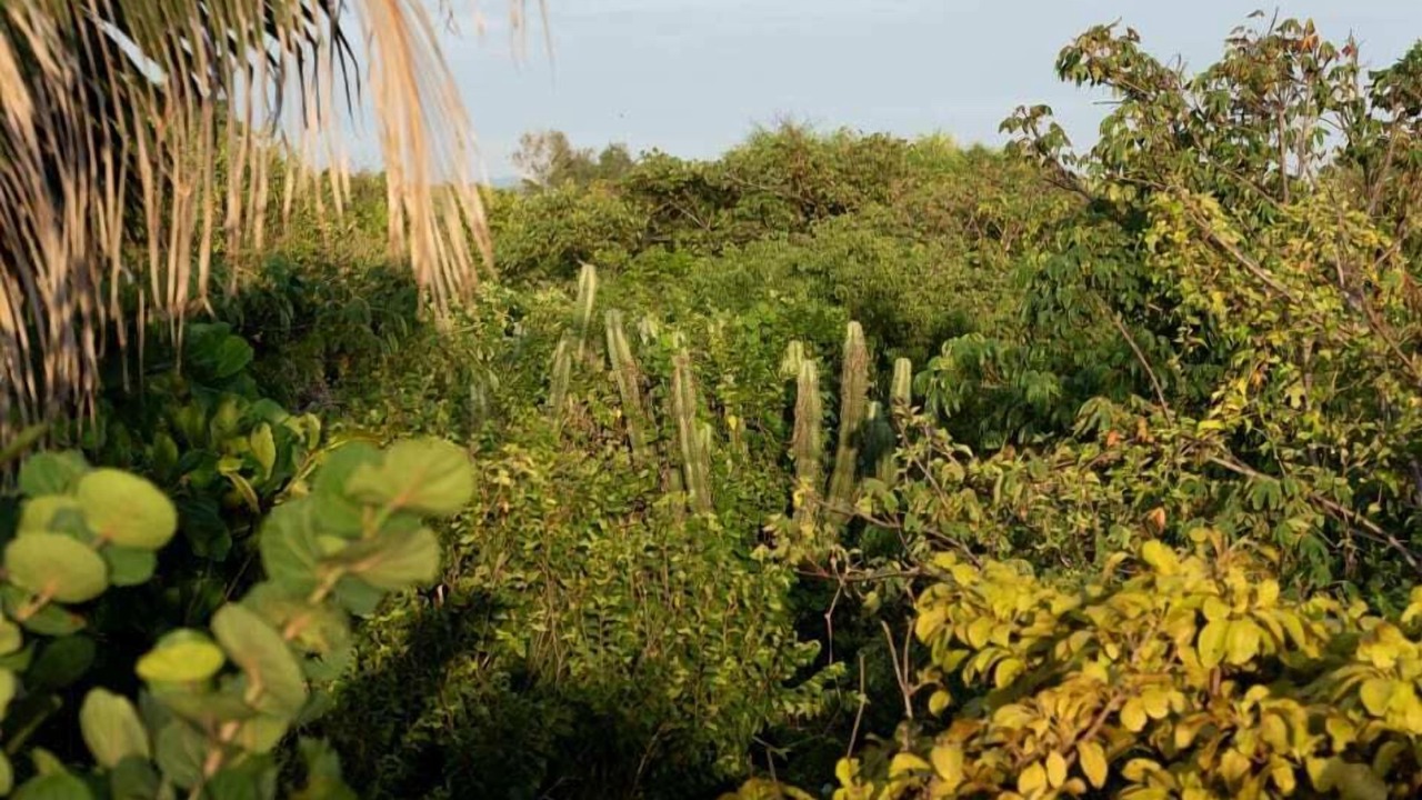 Photo of Others in Santa Maria Tonameca