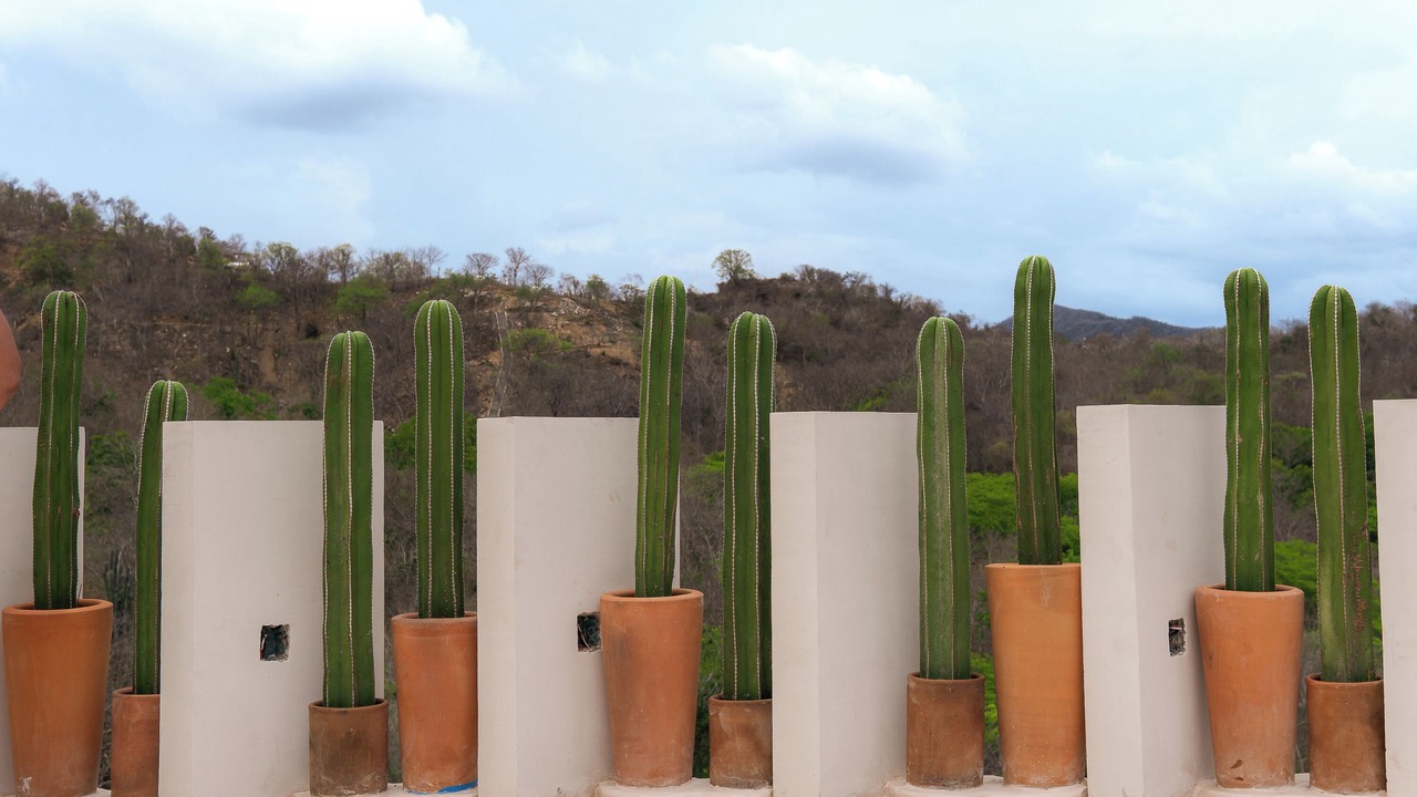 Photo of Patio Balcony in Puerto Angel