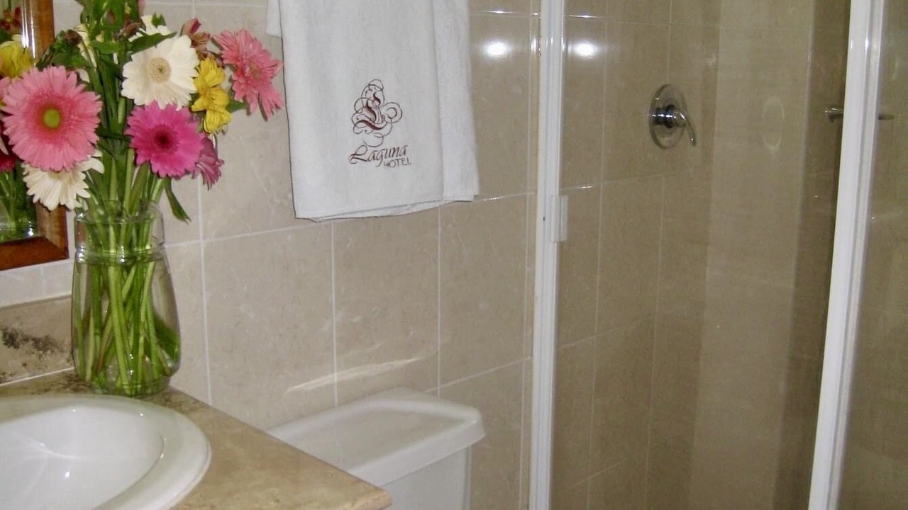 Photo of Bathroom in Tampico