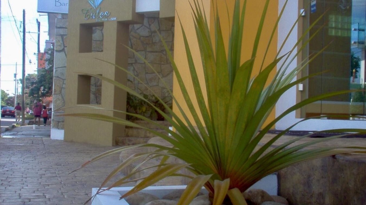 Photo of Patio Balcony in Tampico
