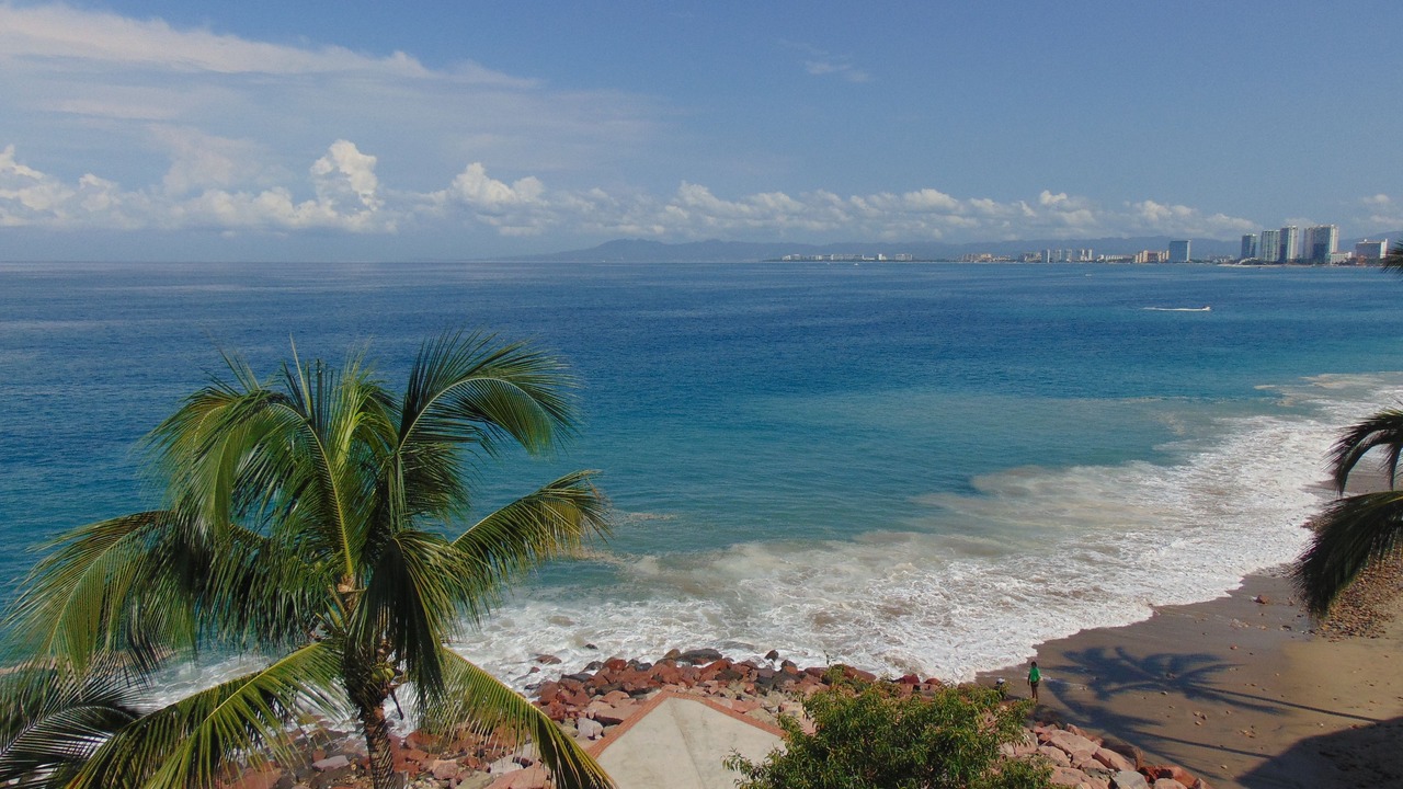 Photo of Others in Downtown Puerto Vallarta
