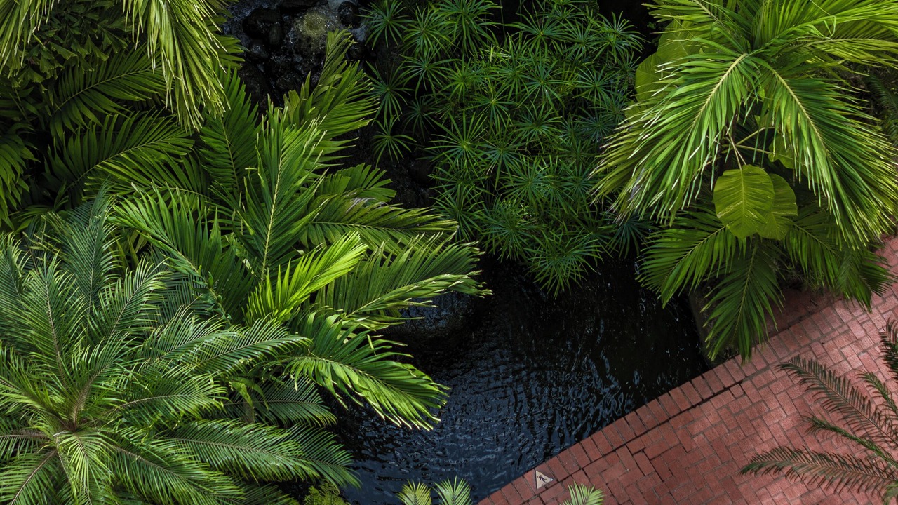Photo of Outdoor in Marina Vallarta