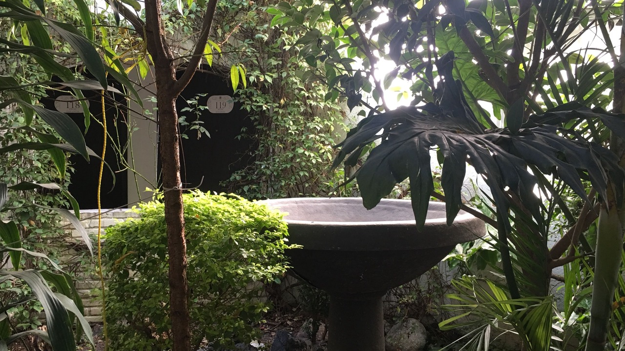 Photo of Outdoor in Centro