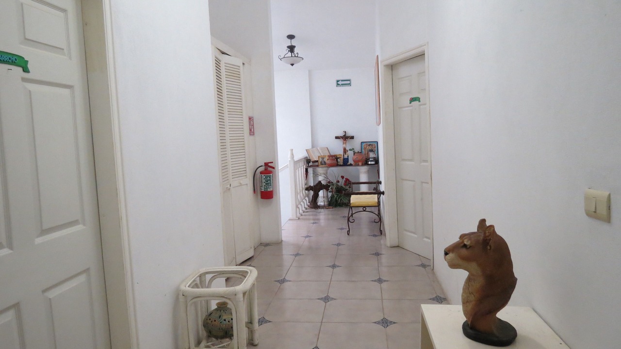 Photo of Others in El Carrizal