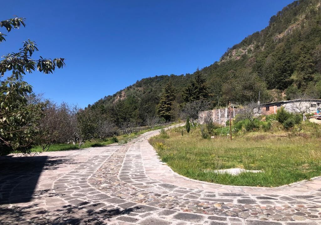 Photo of Outdoor in El Oro
