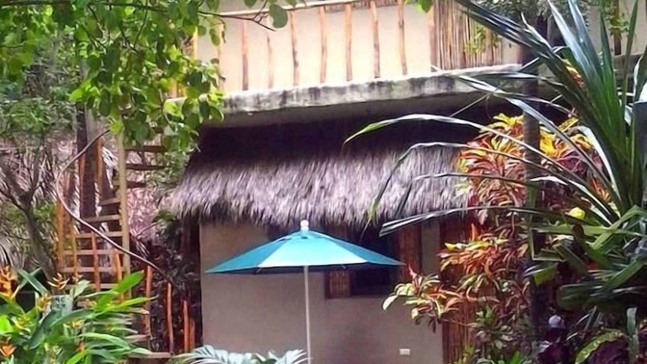 Photo of Outdoor in Sayulita