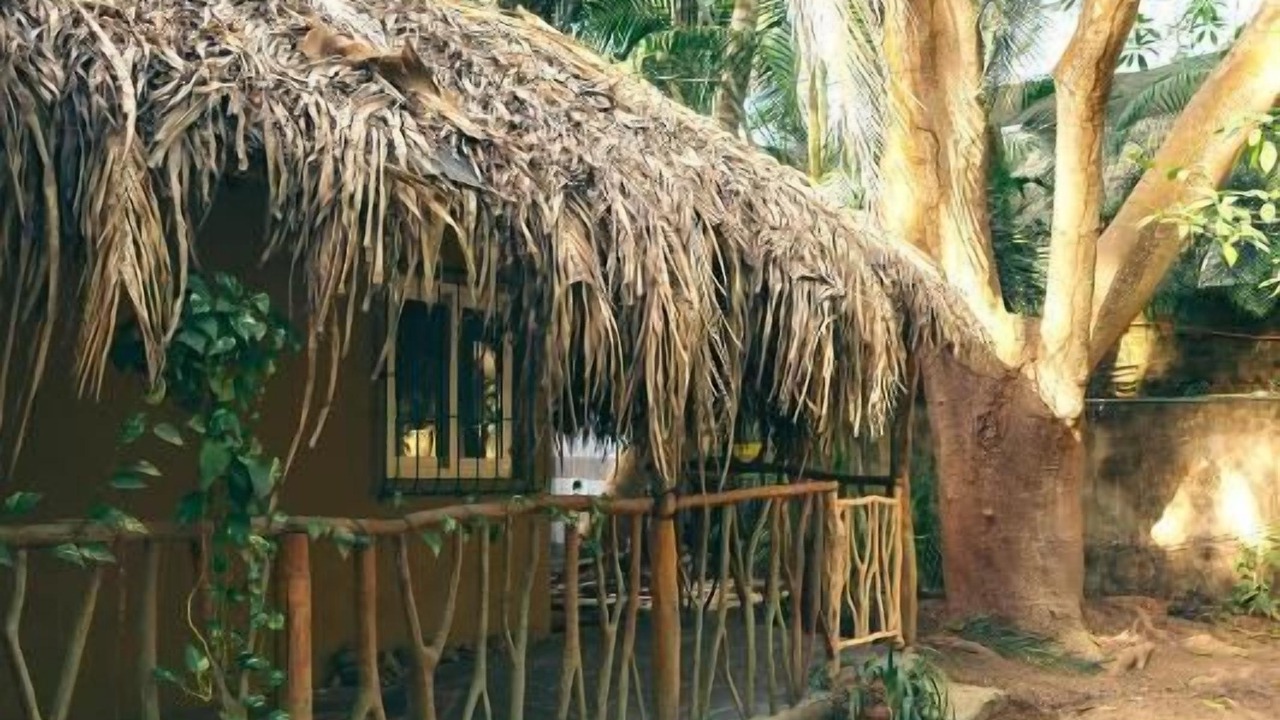 Photo of Outdoor in Sayulita