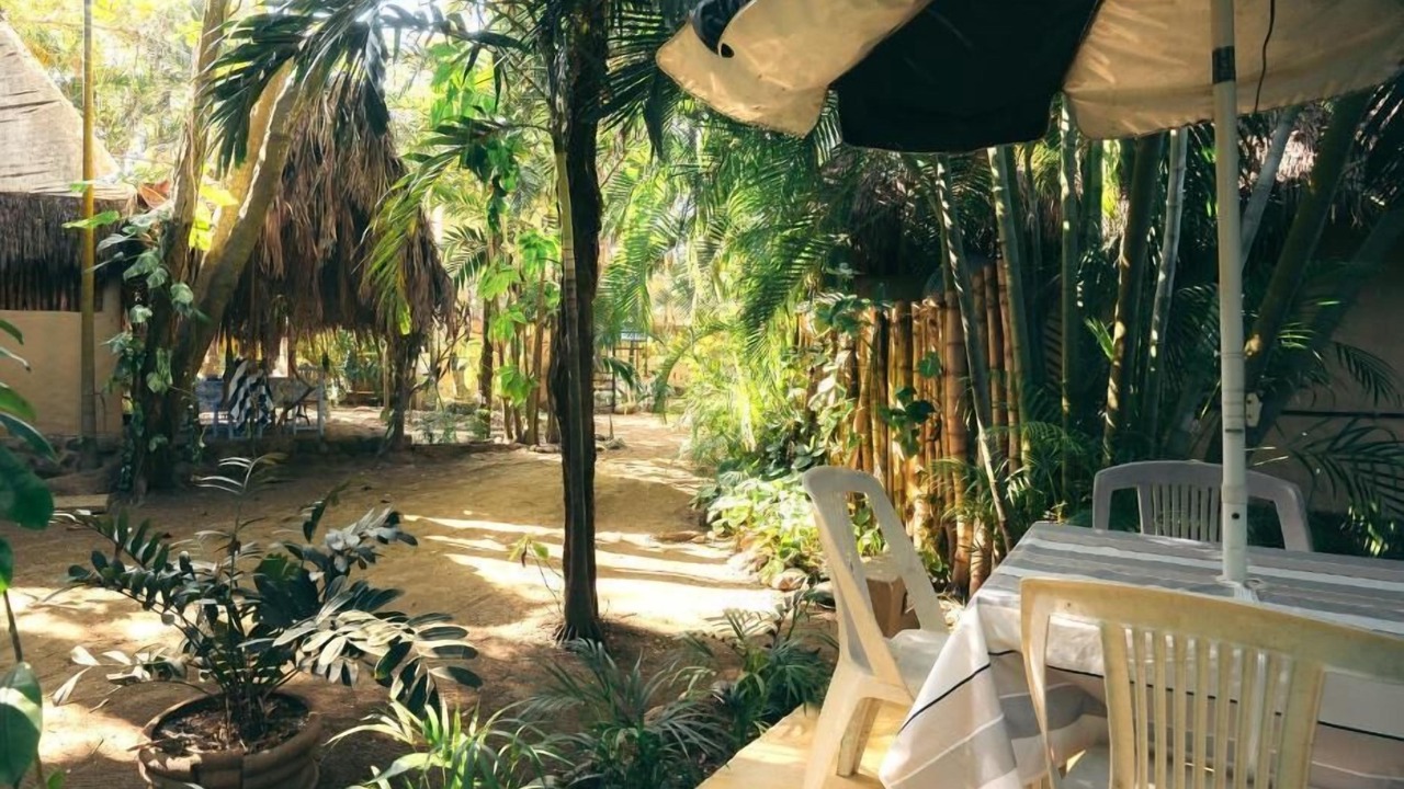 Photo of Outdoor in Sayulita