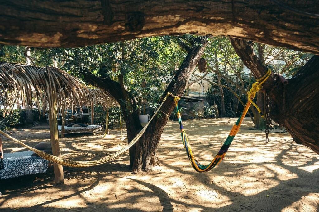 Photo of Others in Sayulita