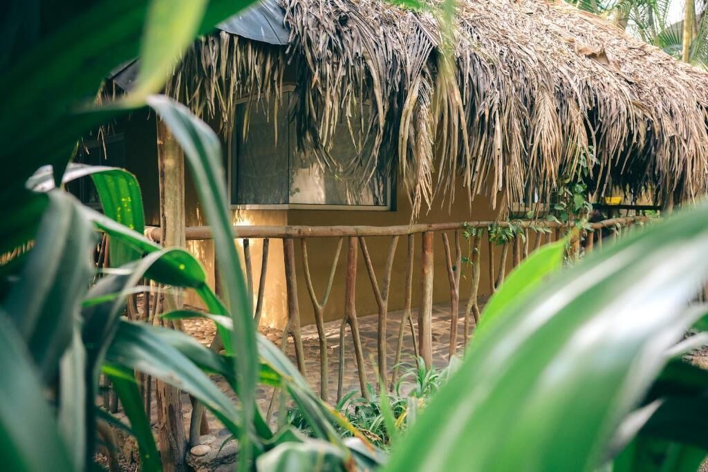 Photo of Outdoor in Sayulita