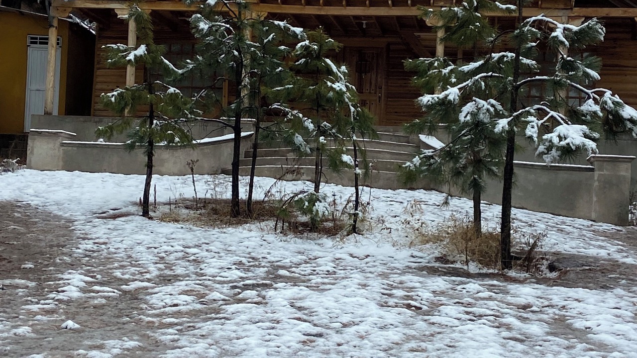 Photo of Outdoor in Creel