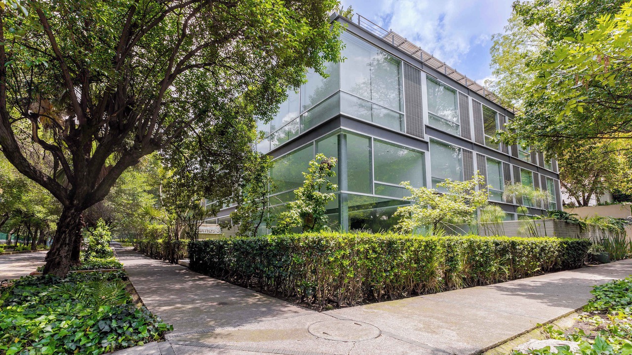Photo of Outdoor in Polanco