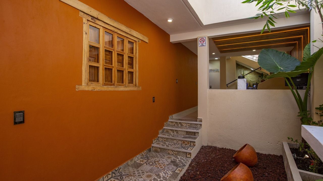 Photo of Others in San Cristobal de las Casas