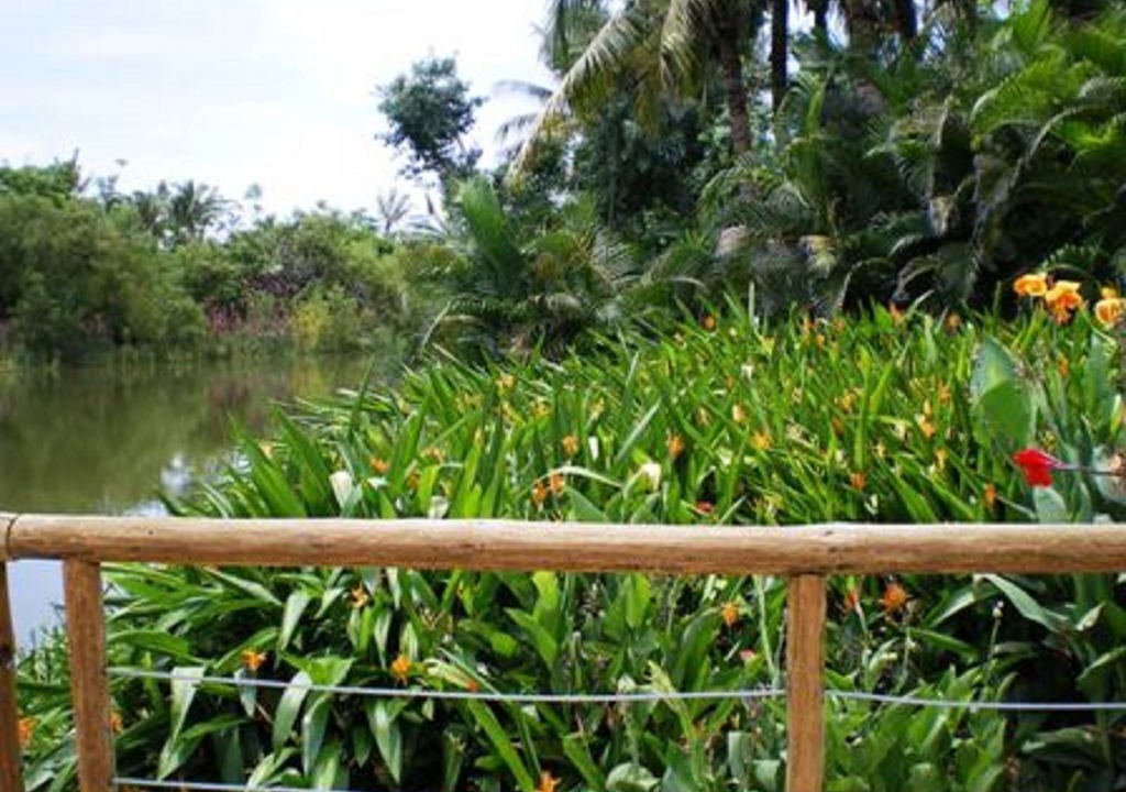Photo of Outdoor in Bucerias
