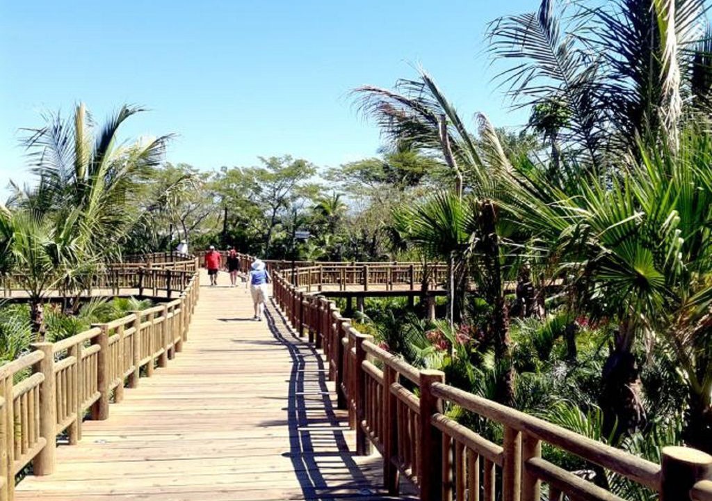 Photo of Outdoor in Bucerias