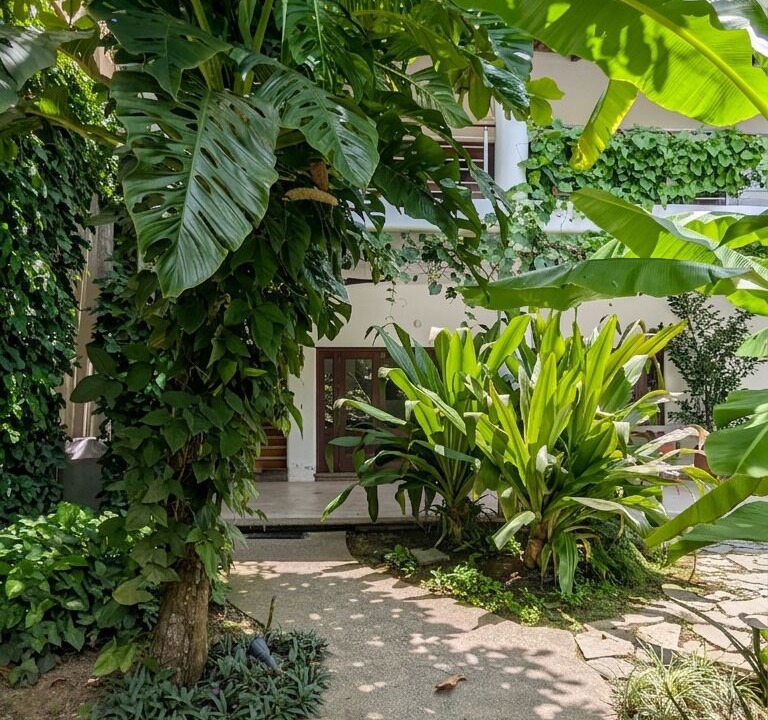Photo of Outdoor in Lo de Marcos