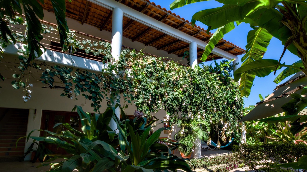Photo of Outdoor in Lo de Marcos