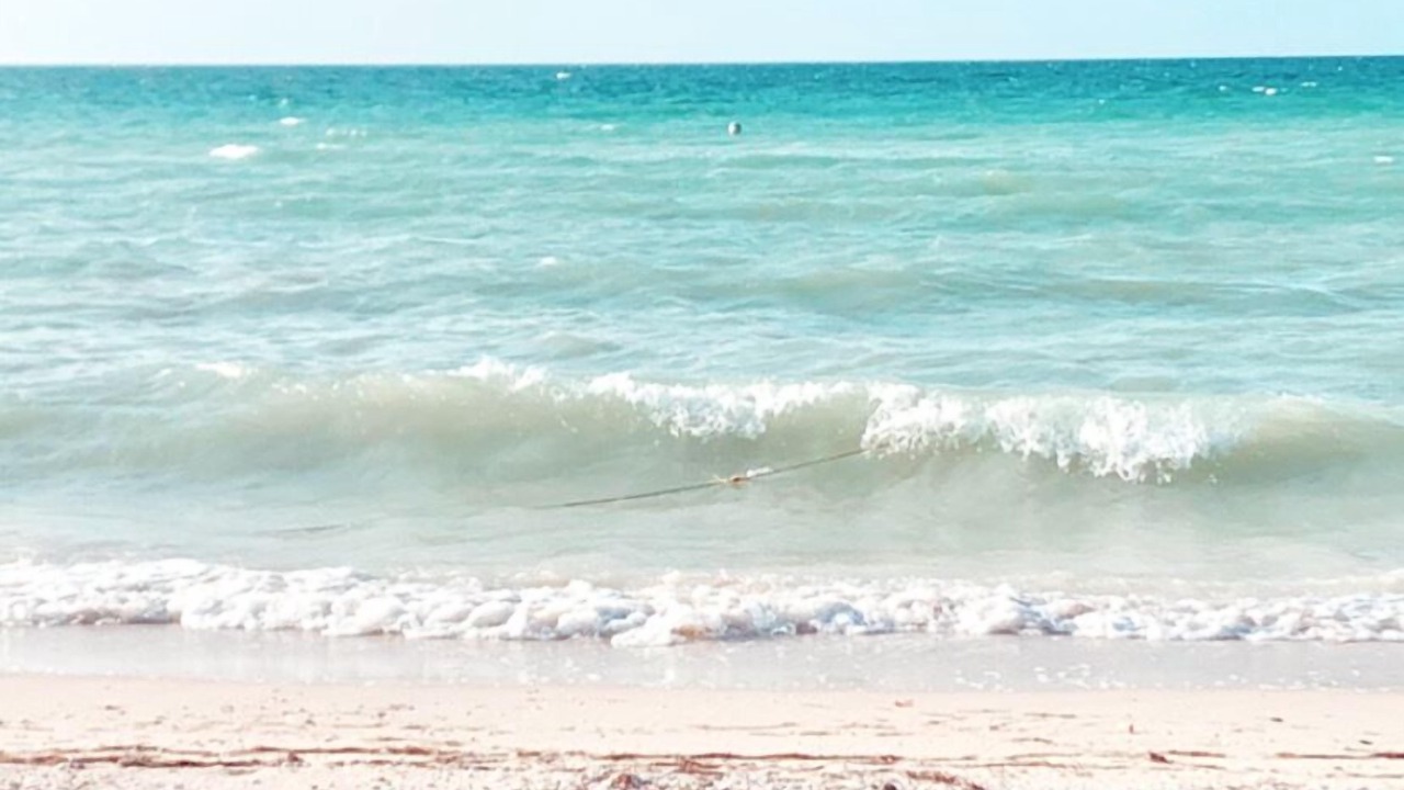 Photo of Others in Chicxulub Puerto