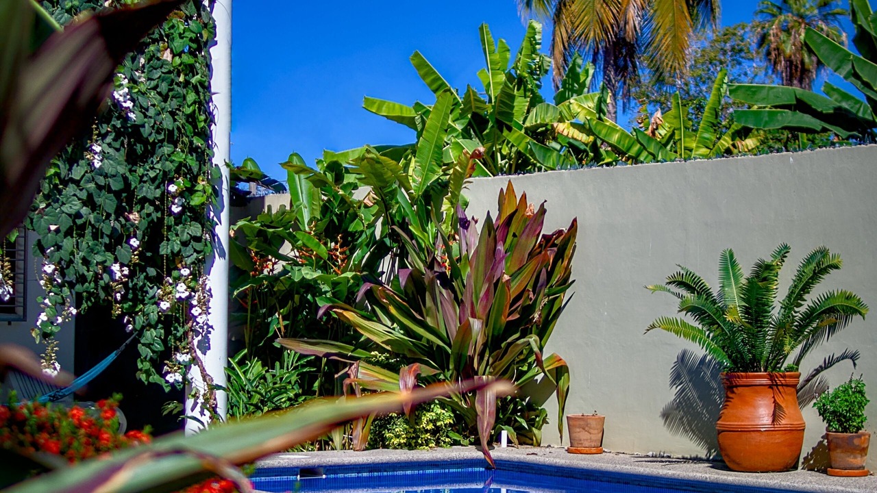 Photo of Outdoor in Lo de Marcos