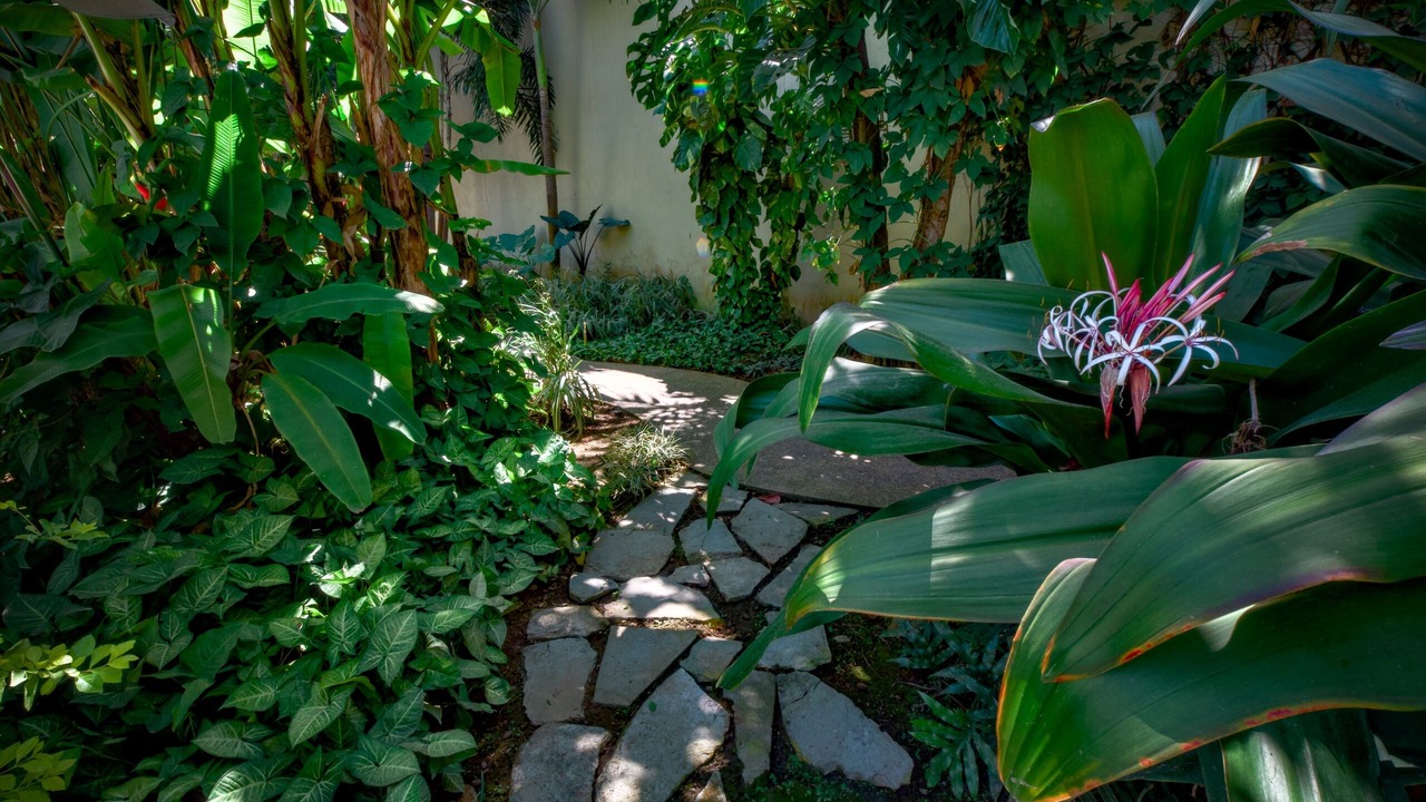 Photo of Outdoor in Lo de Marcos