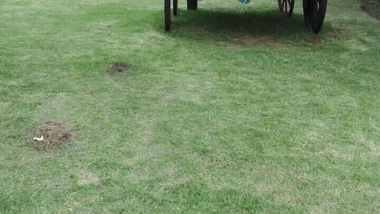 Photo of Outdoor in Tocatlan