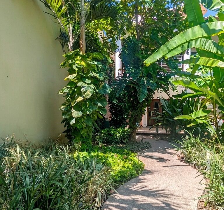 Photo of Outdoor in Lo de Marcos