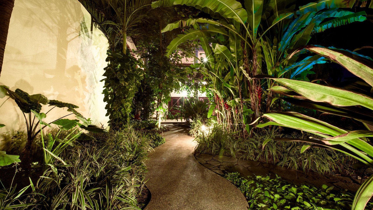 Photo of Outdoor in Lo de Marcos