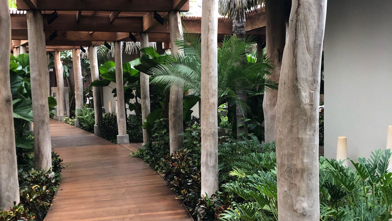 Photo of Outdoor in Nuevo Vallarta