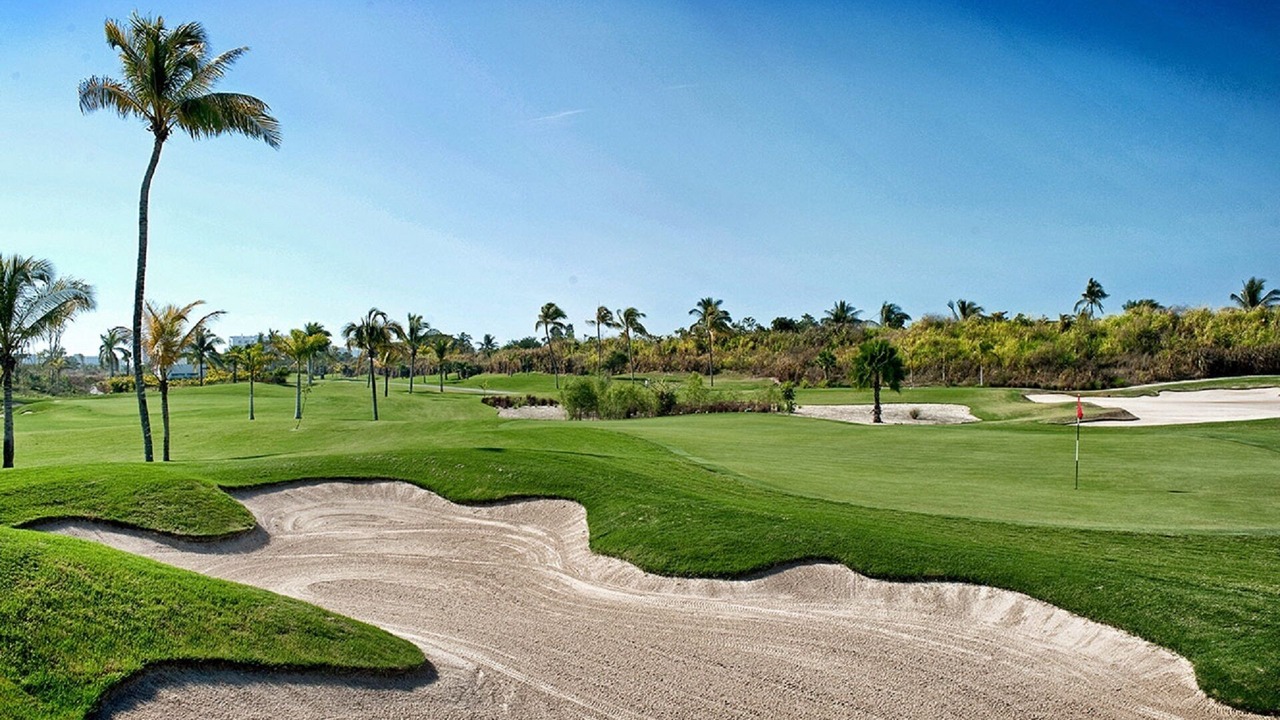 Photo of Others in Nuevo Vallarta