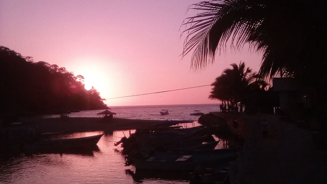 Photo of Others in Boca de Tomatlan
