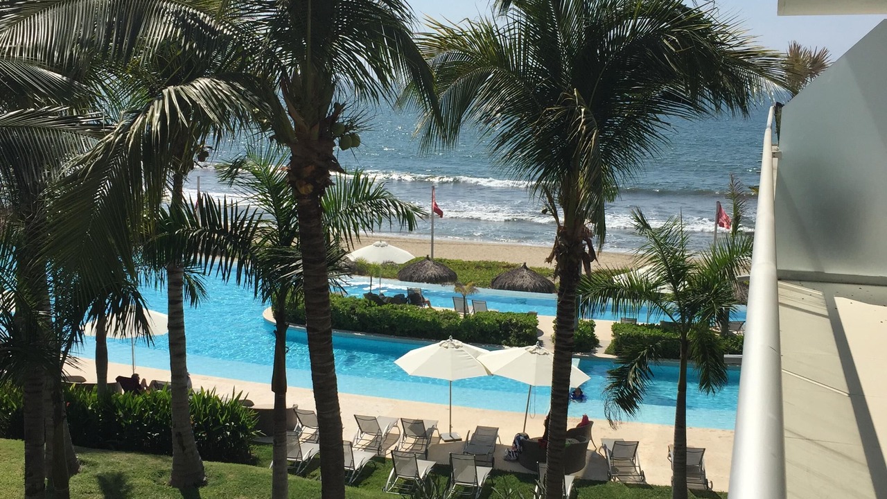 Photo of Outdoor in Flamingos