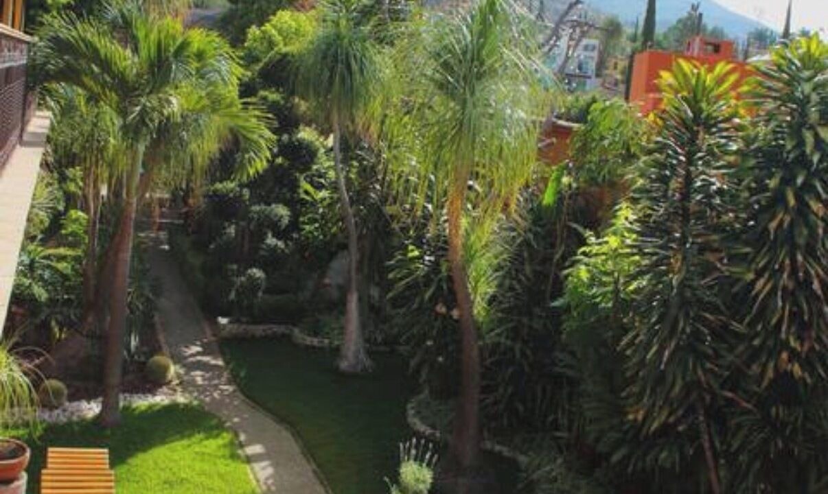 Photo of Outdoor in San Felipe del Agua