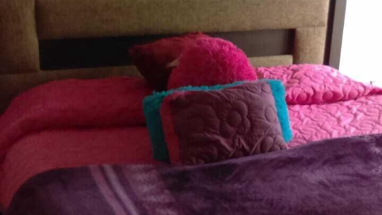 Photo of Bedroom in Chihuahua
